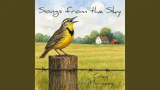 Catbird's Call