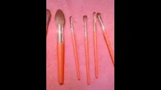 Ducare brushes set and makeup sponge~