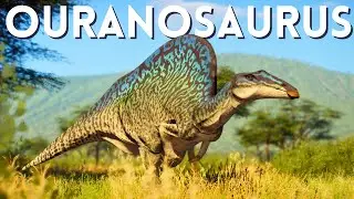 The Original Sailed Dinosaur | Ouranosaurus