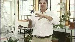 Secret Life of Plants and Telepathy