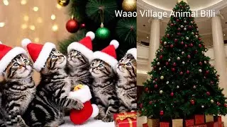 The Great Cat Christmas Bake-Off: Treats for Your Furry Friends