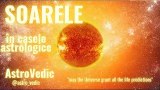 The Effects and Role of the SUN in the 12 astrological houses🌞 #Sun #VedicAstrology