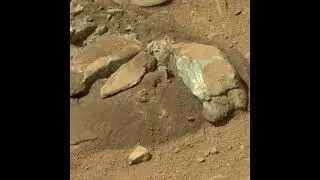 Mars, Pictures from Perseverance - Curiosity: Rocks That Look Like Martian Tapirs - Marte