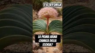 Scoperta la prima arma chimica della Storia? TgStoria #news #storia #cultura