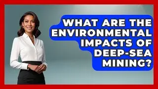 What Are the Environmental Impacts of Deep-Sea Mining? | The Marine Life Explorer