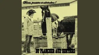 M&ecirc;me en pension, c&rsquo;est ton cheval