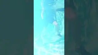 Cardio Boost Intervals (part 1) #ytshort #shorts #wateraerobics #waterexercise #waterworkout
