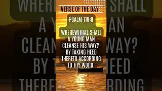 VERSE OF THE DAY | PSALM 119 V 9 | MEDITATE ON GOD'S WORD DAILY FOR  VICTORY! #SHORTS #GOD #JESUS