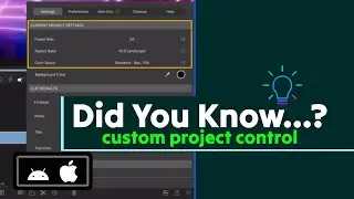Custom Control Over New Project Settings