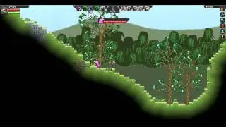 Starbound how to use a sheild