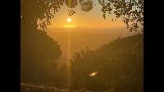 Portugal Off-grid farm  - Bio filter & waterfall build. The poly tunnel has arrived