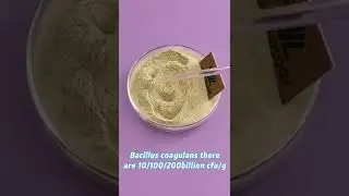 Top quality product for improve health with aquatic tilapia fish biofloc shrimp farming feed mixing