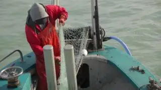 Gillnetting with Sam