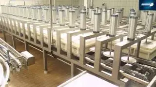 Sistema Automático Contínuo de Prensagem de Queijos