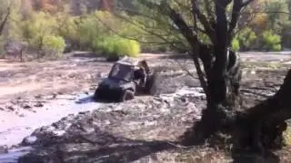 Polaris rzr
