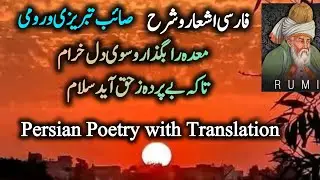 The Divine Wisdom of Rumi | Rumi Quotes | Persian Poetry with Translation | فارسی شعر | رومی شاعری