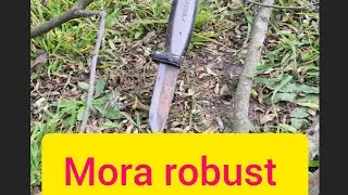 ES TAN ROBUSTO EL MORA ROBUST?