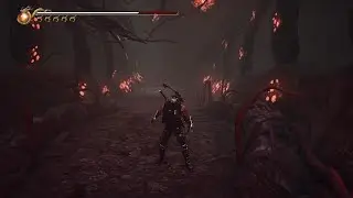 NINJA GAIDEN 2 Black BLACK SPIDER TENGU RED BOSS FIGHT AND BLUE