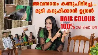 Natural hair colour | കെമിക്കലുകളില്ലാതെ നരച്ച മുടി കറുപ്പിക്കാം | Proper way to do it at home |