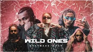 MC STAN - WILD ONES FT. SIA X VIJAY DK X EMIWAY BANTAI X DIVINE | PROD. SHAHBAAZ KHAN