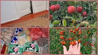 МЫ ВСЁ УМЕЕМ. ЗАКУПКА ПРОДУКТОВ. КРАСКИ ОСЕНИ