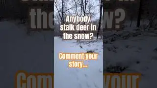 Its cold outside #hoosierdeerslayer #deer #deerhunting #nature #hunting #winter #snow #stalker #cold