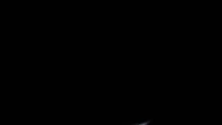 Lunar Eclipse 2010