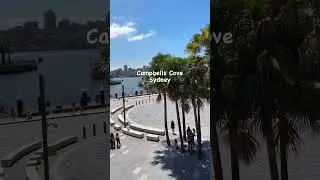 Campbells Cove Sydney #australia  #travel #viral #shorts