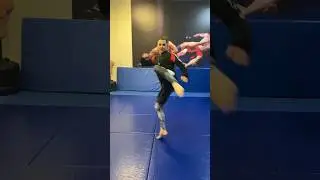 Hapkido Martial Arts Techniques #martialart #adlan1967 #selfdefense #tutorial #jj #hapkido