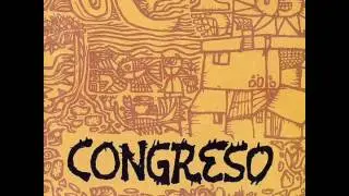 Volant&iacute;n de Plumas - Congreso