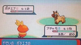 [Uncatchable] 4th shiny Poochyena - 27530 SRs