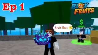 Ep1 ដំណើរទៅកាន់ Level max ( Blox Fruit )