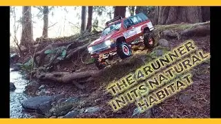 Rc4wd Toyota 4Runner. the Creek bash!🌊🍻