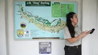 J.N. 