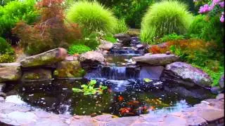 Water Features