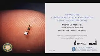 Neural Dust, A Platform for Neural Interfaces