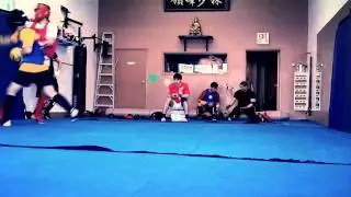 Apex Sanshou Team 2010