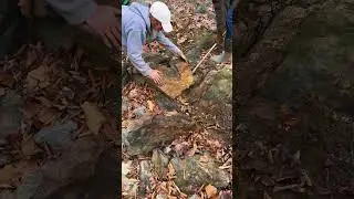 Bedrock Gold Prospecting - Virginia Gold - Sluice 