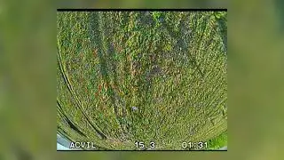 #fpv треню пауэрлупы (Power Loops)