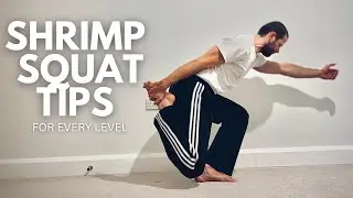 Shrimp squat variations  (follow along tutorial)
