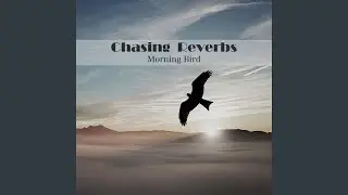 Morning Bird