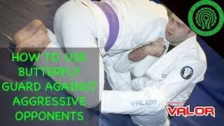 BJJ How to use the Butterfly Guard against an Aggressive Opponent