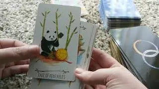 COVID-19 Through Tarot and Astrology: Healing Decks