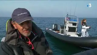 La pêche en mer et le retour du bar à l'occasion du Grand Pavois de La Rochelle