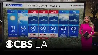 Dani Ruberti's NEXT Weather Forecast