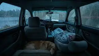 ULTRA DEEP SLEEP: Cozy Car Ride ASMR, Rain on Window POV, Sleeping Woman & Pet Ambience
