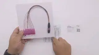 MPO-LC Fiber Optic Pigtail