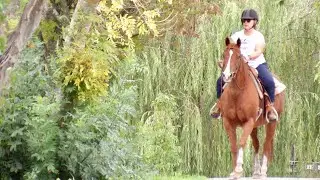 Eila Rose Farm - Boutique premium agistment property at Beaconsfield Upper