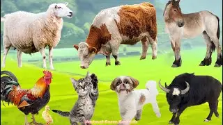 Adorable Animal & Pet Sounds: Cow, Dog, Sheep, Cat, Chicken, Elephant, Horse & Duck - Animal Sounds