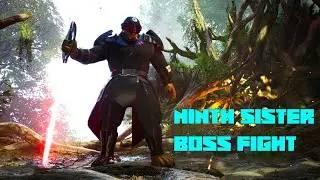 Ninth Sister Boss First Attempt